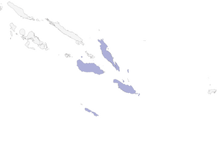 Distribution of the Yellow-bibbed Lory - Range Map