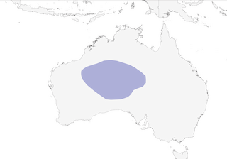 Distribution of the Princess Parrot - Range Map