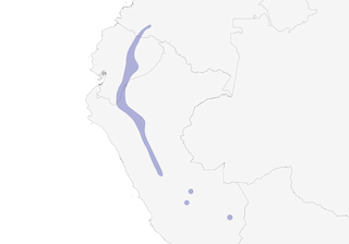 Distribution of the Fiery-throated Fruiteater - Range Map