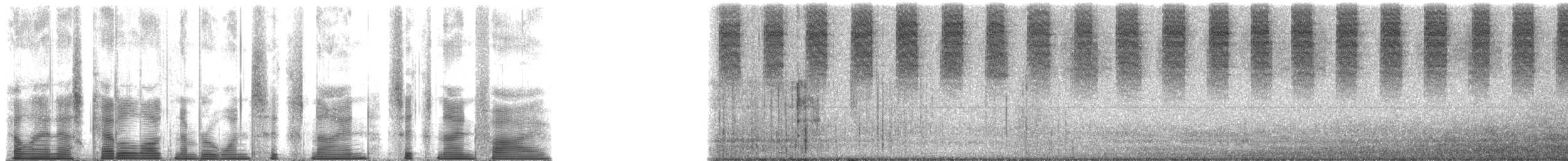 昆蟲綱 - ML169695