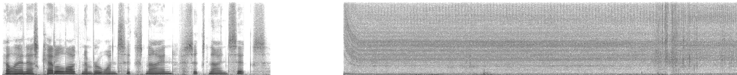 昆蟲綱 - ML169696