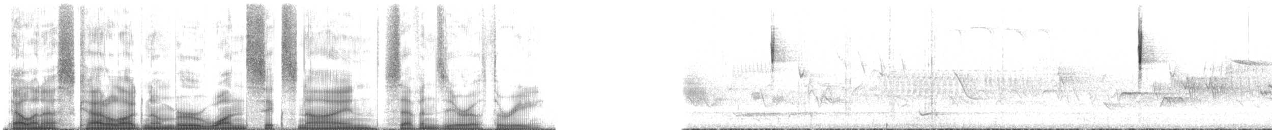 Червоїд сіроголовий (підвид ridgwayi) - ML169703