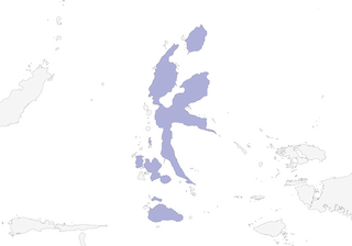 Distribution of the Long-billed Crow - Range Map
