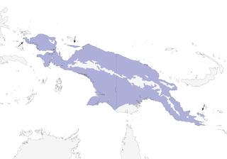 Distribution of the Gray Crow - Range Map