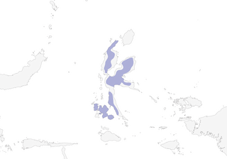 Distribution of the Standardwing Bird-of-Paradise - Range Map