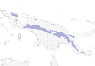 Distribution of the Fan-tailed Berrypecker - Range Map