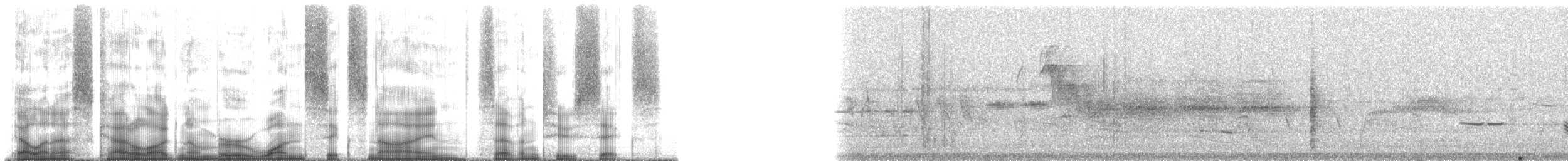 Weißbrustkleiber - ML169726