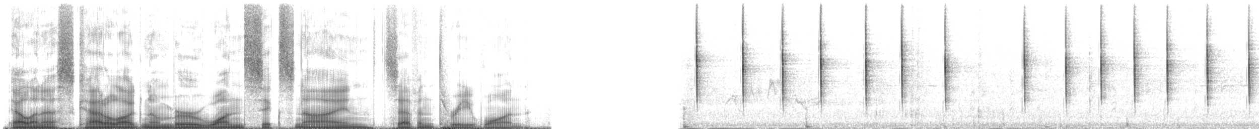 Юнко сірий [група oreganus] - ML169731