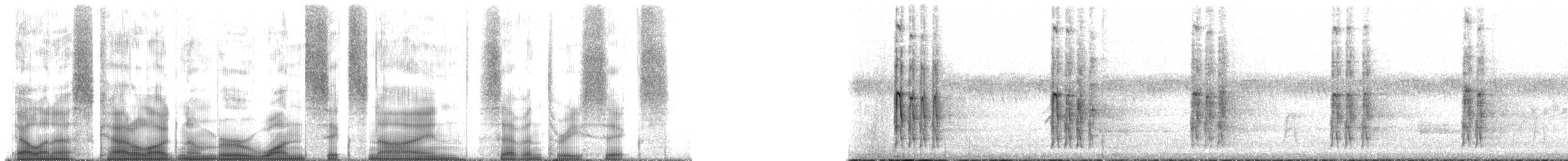 strakapoud bělohlavý - ML169736