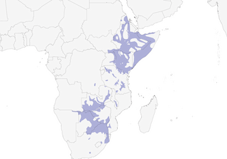 Distribution of the Red-billed Oxpecker - Range Map