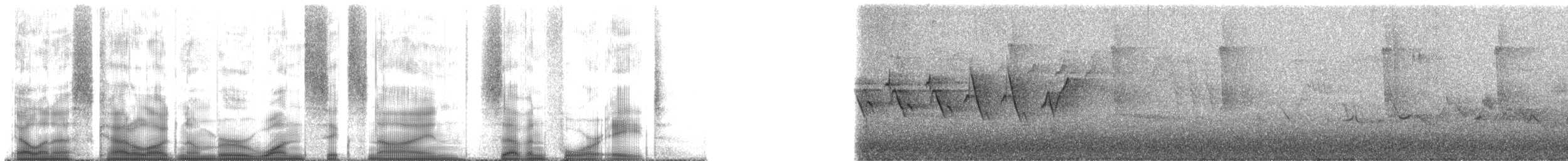 Желтогорлая древесница - ML169748