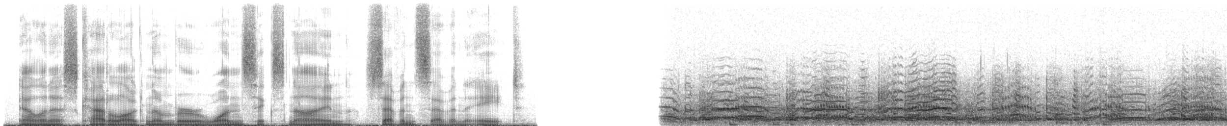 dvergsvane (columbianus) - ML169778