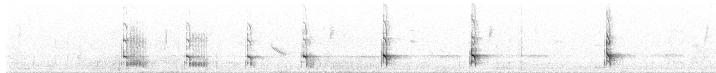 caatingaspett (melanolaimus gr.) (pampasspett) - ML169782471