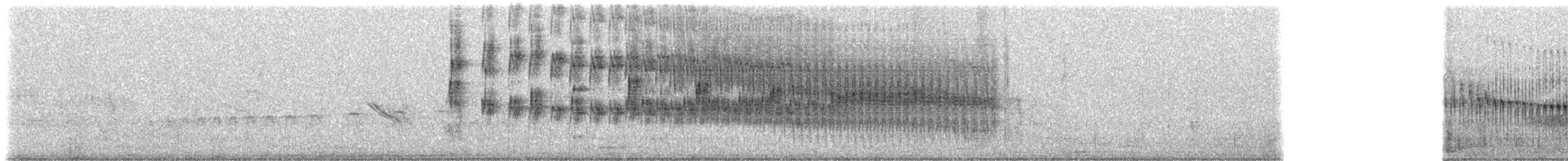 krembrystkurvfugl (dorbignyi/consobrina) - ML169782561