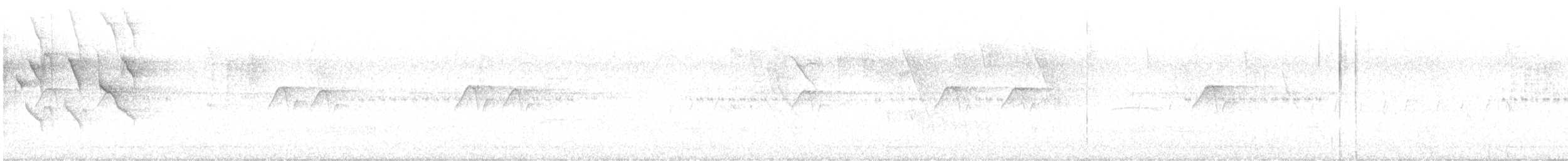 Тиран-крихітка сірощокий - ML169788681