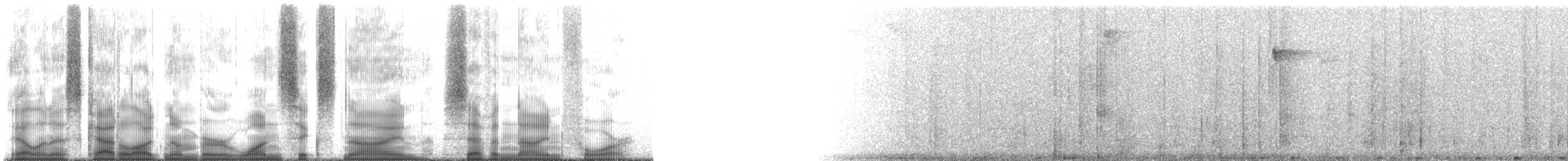 Тиранчик-довгохвіст білогорлий - ML169794