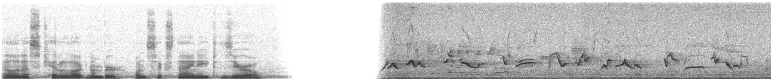 Rose-breasted Grosbeak - ML16980