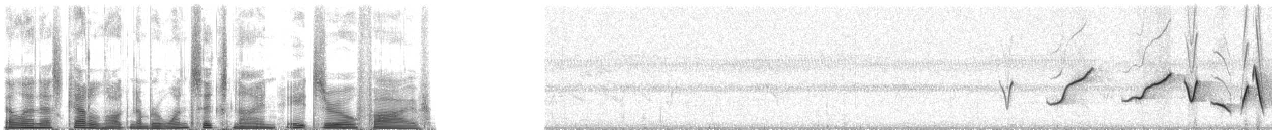 Rufous Whistler - ML169805