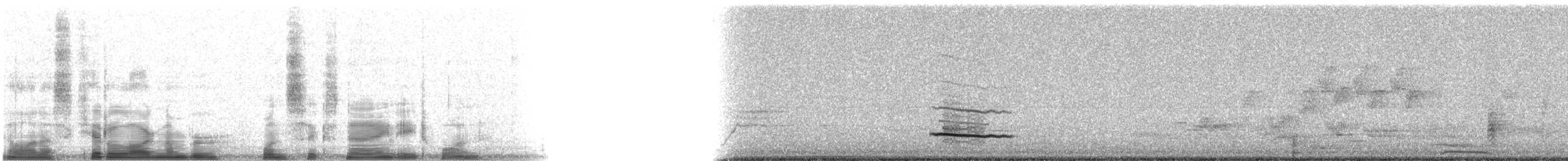 dlaskovec růžovoprsý - ML16981