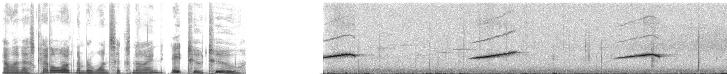 Rufous-backed Honeyeater - ML169822
