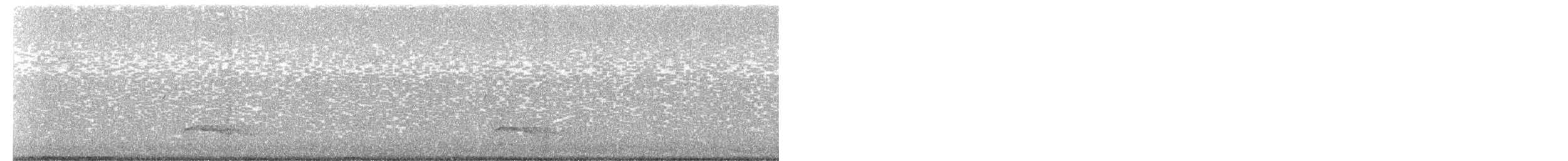 ヨーロッパノスリ（buteo） - ML169823251