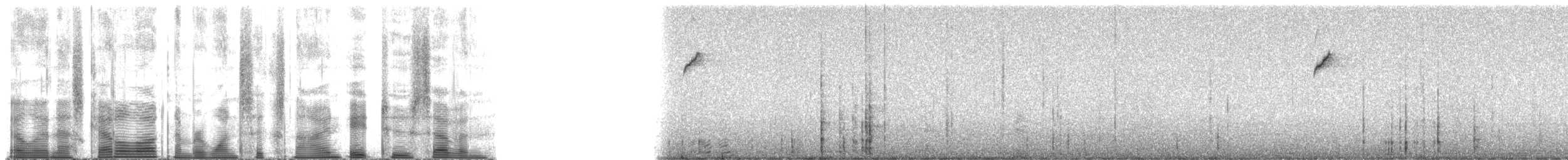 Сияющий колибри-капуцин - ML169827
