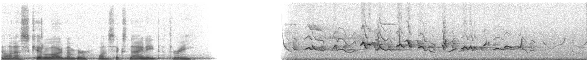 Rose-breasted Grosbeak - ML16983