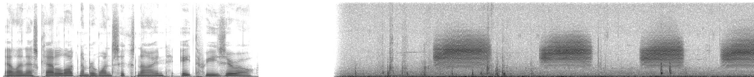 Sinkora Karıncakuşu - ML169830