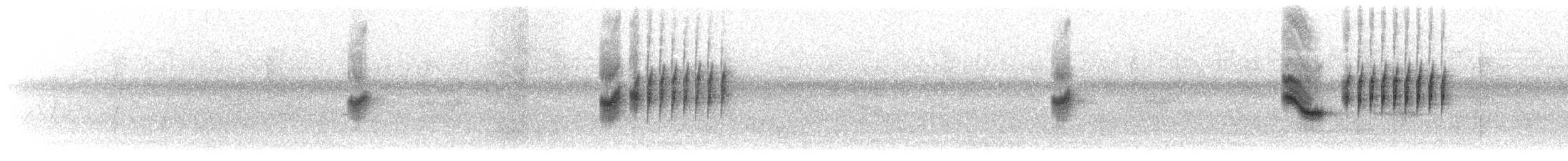 Falco sp. - ML169844941