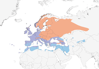 Distribution of the European Robin - Range Map