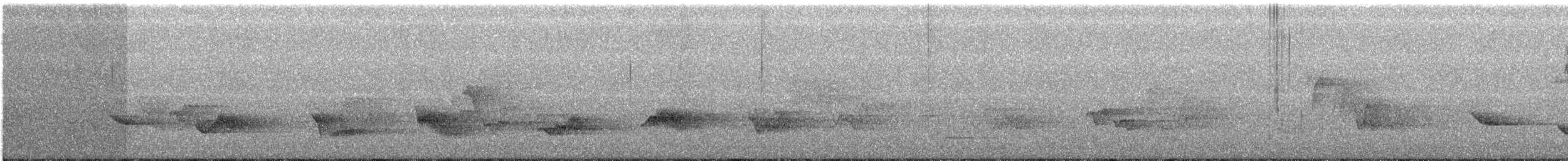 Piranga écarlate - ML169855621