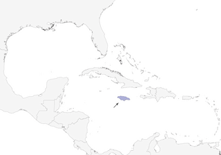 Distribution of the Yellow-shouldered Grassquit - Range Map