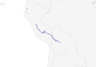 Distribution of the Three-striped Hemispingus - Range Map