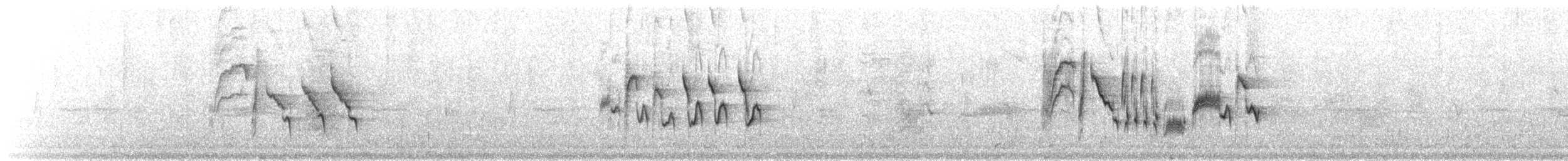 Troglodyte de Bewick - ML169885891