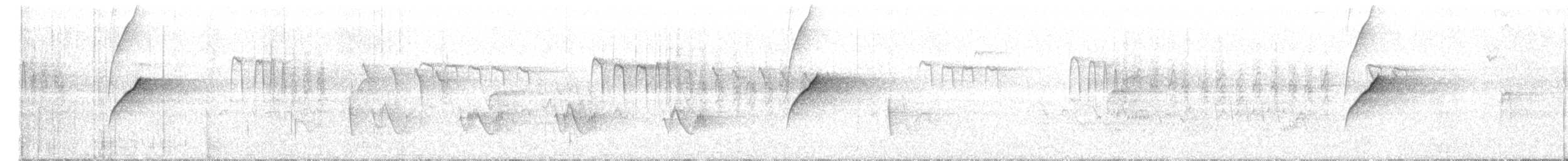 Moucherolle obscur (occidentalis/hellmayri) - ML169915201