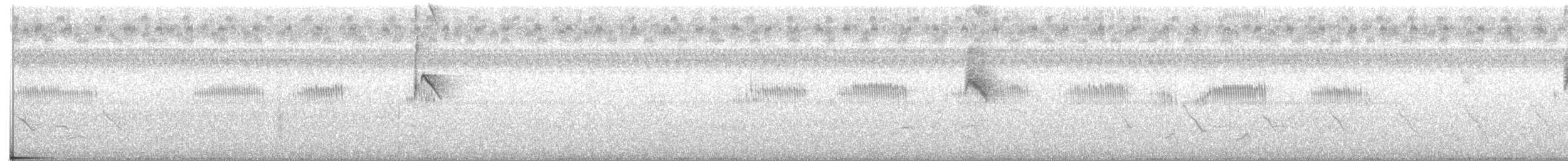 Schieferrücken-Königstyrann - ML169915811