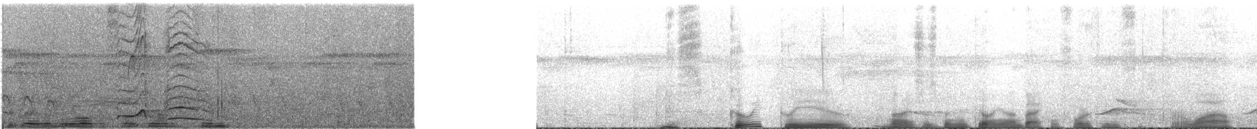 Waved Woodpecker (Waved) - ML169917721