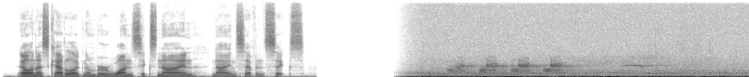 Trogon élégant (groupe ambiguus) - ML169976