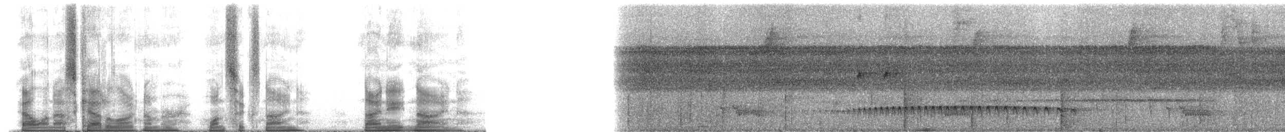 Aripuana Antwren - ML169989