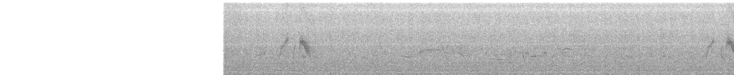 tyranovec vrbový - ML170005461