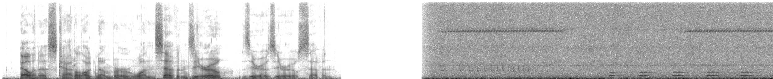 Сплюшка мадагаскарська (підвид rutilus) - ML170007