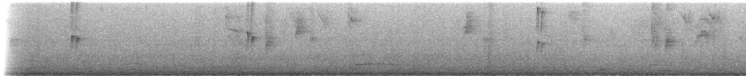 Spotted Tody-Flycatcher - ML170047601