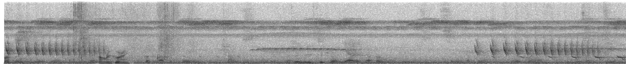 Spot-tailed Antwren - ML170048061
