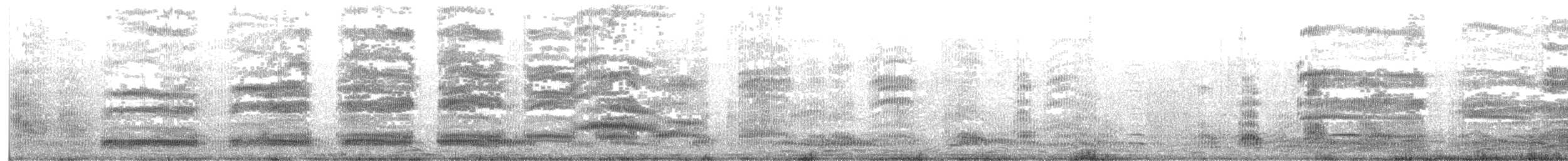 Mouette argentée (novaehollandiae/forsteri) - ML170106781