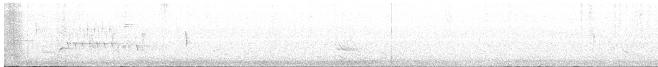 Troglodyte des forêts - ML170125271