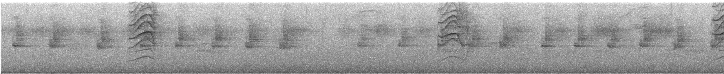 Olivmantel-Stärlingstangare - ML170137981