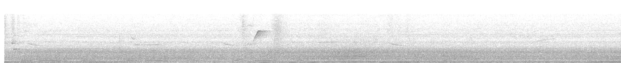 Mosquero del Pacífico (occidentalis) x del Pacífico (hellmayri) (híbrido) - ML170162591
