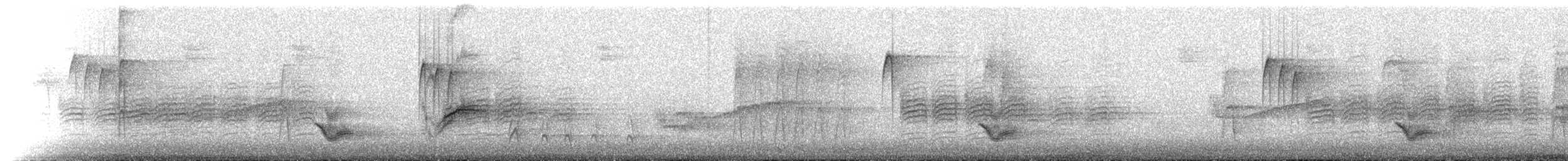 Дрізд-короткодзьоб бурий - ML170164761