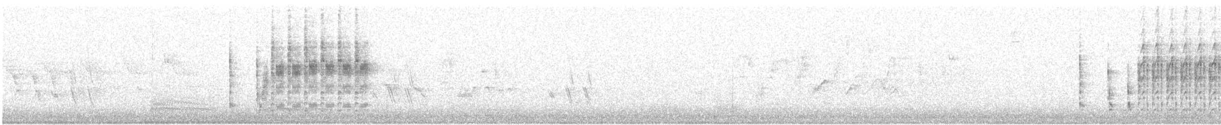 Troglodyte des marais - ML170170881