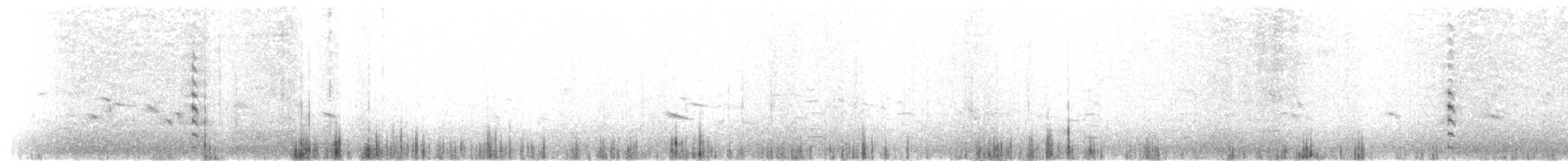 Antzara nanoa - ML170171551